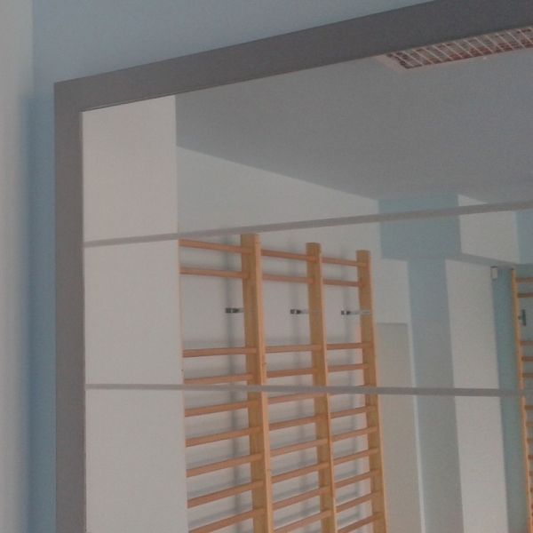 Correction mirror with posturographic grid, wall-mounted