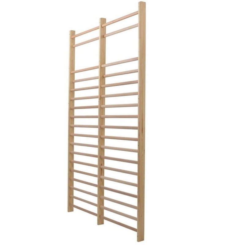 Wall-mounted gymnastic ladder 180 x 300 cm - double