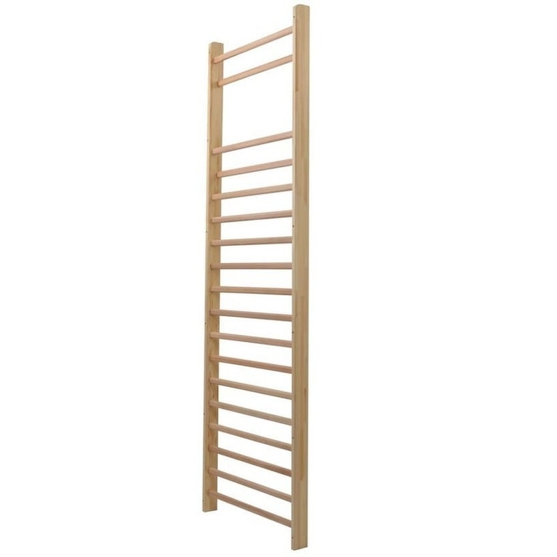 Wall-mounted gymnastic ladder 90 x 300 cm - single