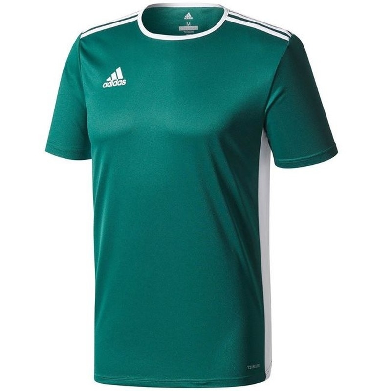 Adidas Entrada T-shirt, 18JSY, storlek XL, färg grön