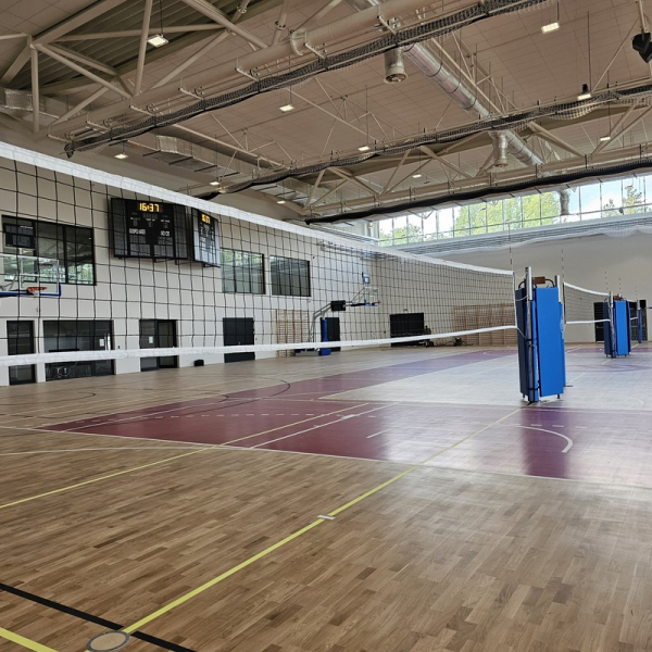 Volleyballnetz mit Antenne schwarz, IV ML Leistung