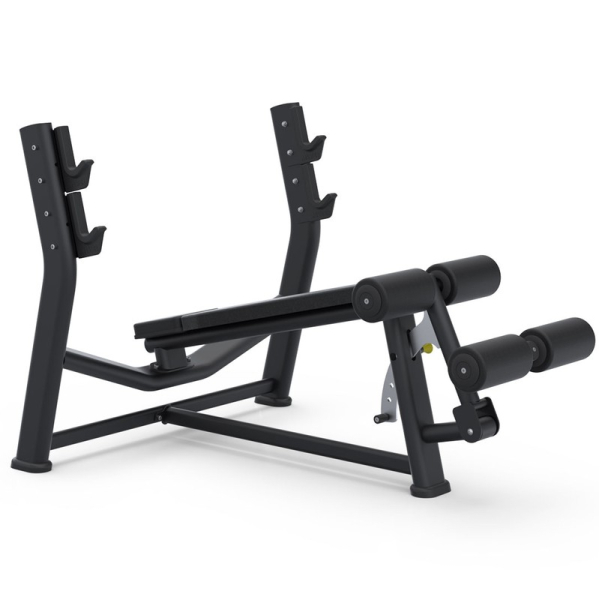 Downward angled bench press. BioMotion (BML 05)