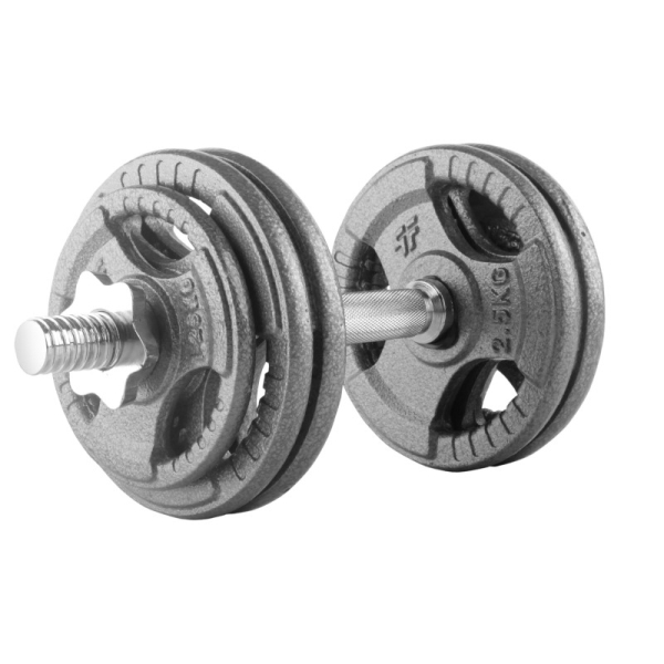 Beltor PF Line Hantla żeliwna - Cast Iiron Dumbbell szara-hammertone 10kg / 28mm