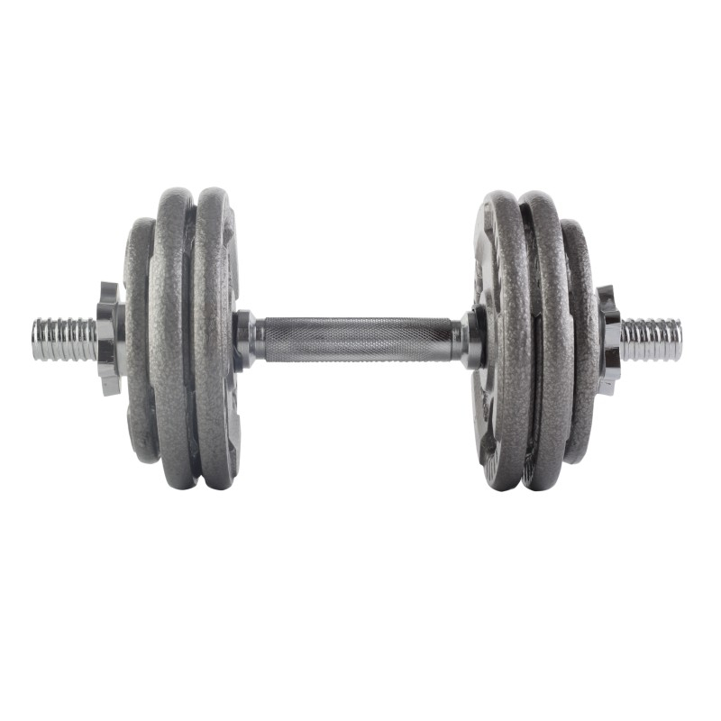 копія Beltor PF Line Hantla żeliwna - Cast Iiron Dumbbell szara-hammertone 10kg / 28mm