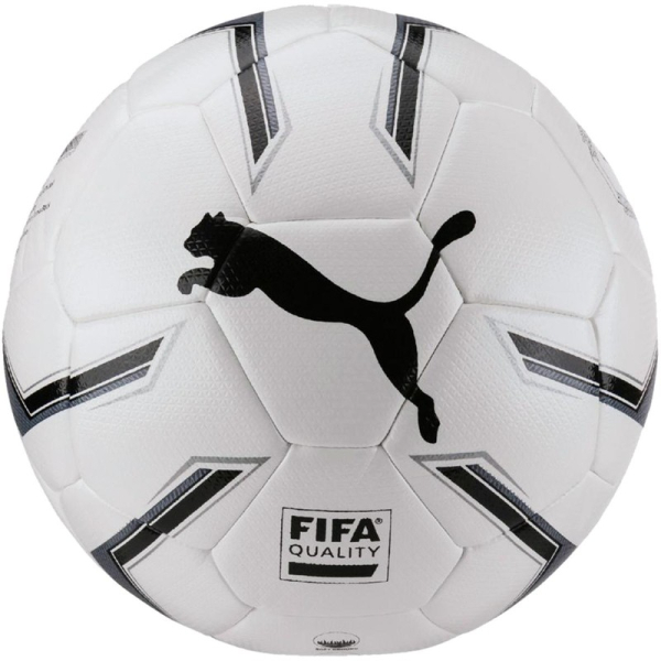 Puma Elite 2.2 Fusion soccer ball, size 5, color white-gray-black