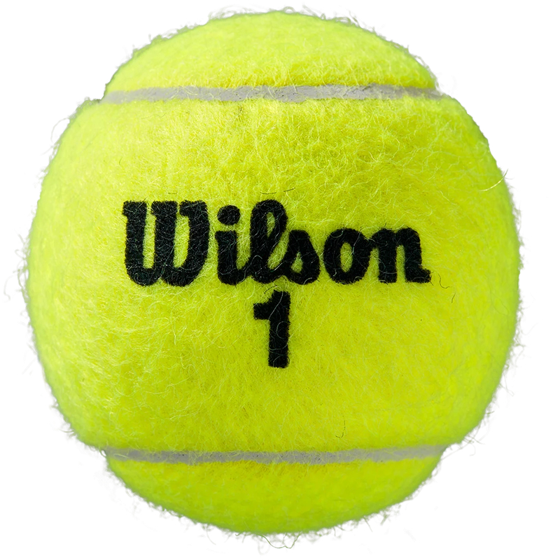 Тенісний м'яч Wilson Roland Garros