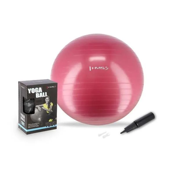 HMS gymnastic ball 65 cm, pink color