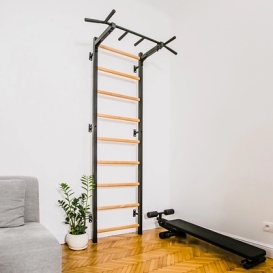 Metal gymnastic ladders