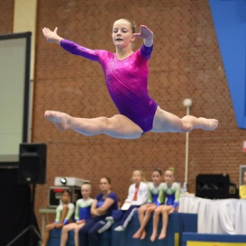 Gymnastika